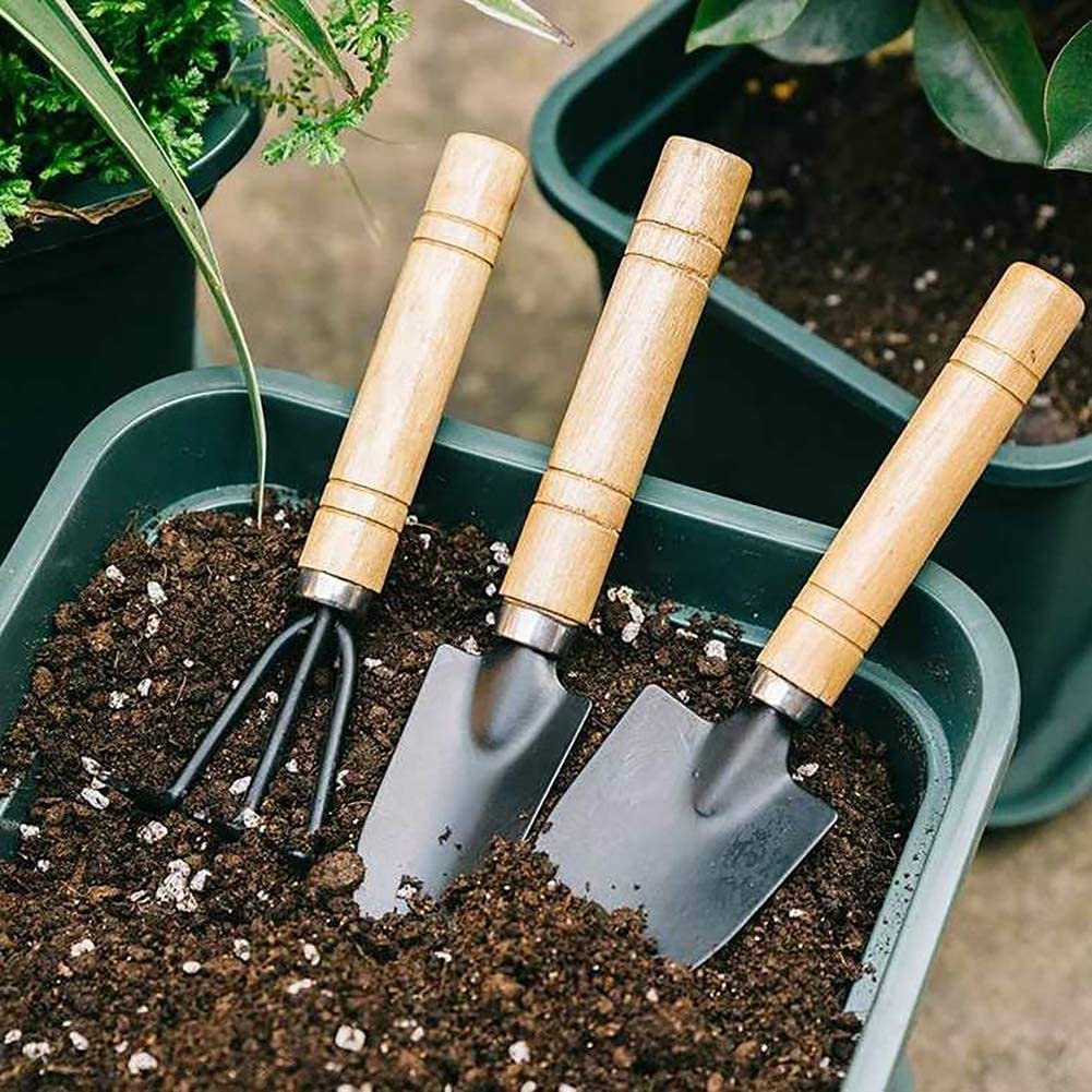 Outdoor Accessories